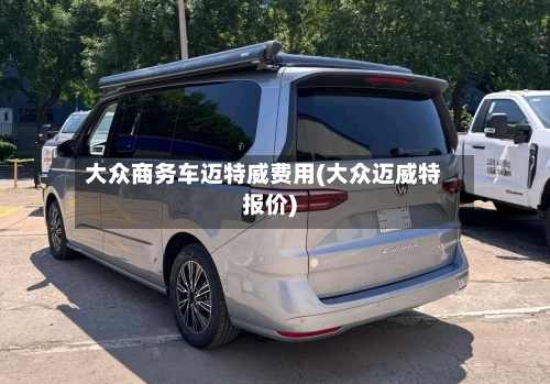 大众商务车迈特威费用(大众迈威特报价)