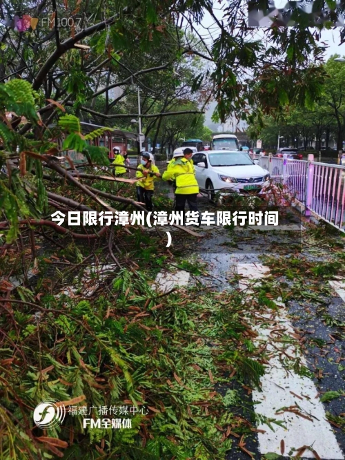 今日限行漳州(漳州货车限行时间)-第2张图片