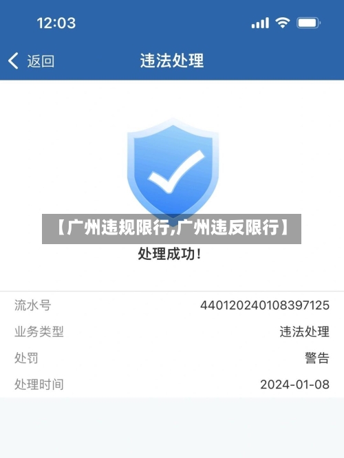 【广州违规限行,广州违反限行】-第2张图片