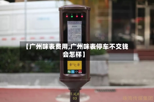 【广州咪表费用,广州咪表停车不交钱会怎样】