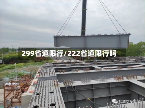 299省道限行/222省道限行吗