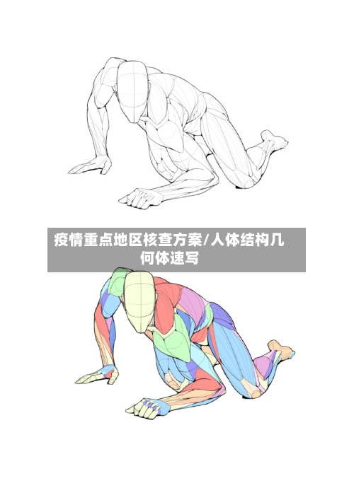 疫情重点地区核查方案/人体结构几何体速写