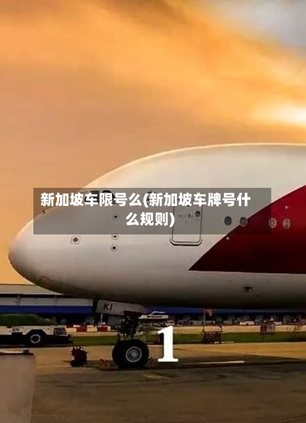 新加坡车限号么(新加坡车牌号什么规则)
