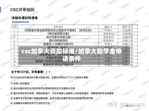 csc加拿大资助标准/加拿大助学金申请条件-第3张图片
