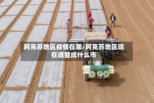阿克苏地区疫情在哪/阿克苏地区现在调整成什么市-第3张图片