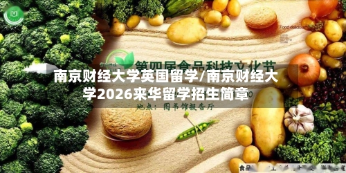 南京财经大学英国留学/南京财经大学2026来华留学招生简章