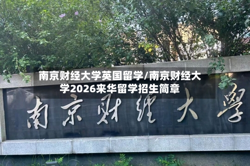 南京财经大学英国留学/南京财经大学2026来华留学招生简章-第3张图片