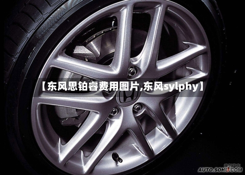 【东风思铂睿费用图片,东风sylphy】-第2张图片