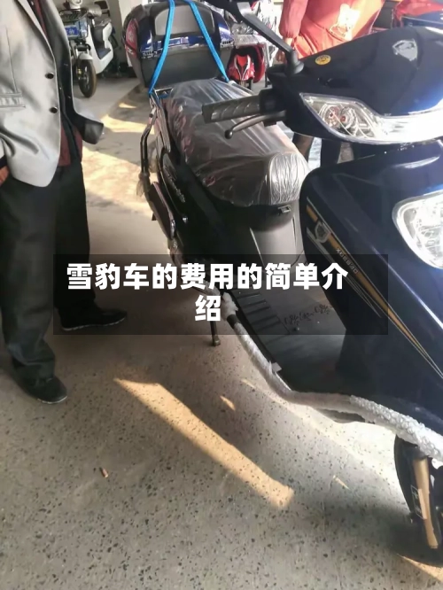 雪豹车的费用的简单介绍