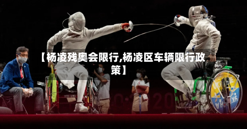 【杨凌残奥会限行,杨凌区车辆限行政策】-第3张图片