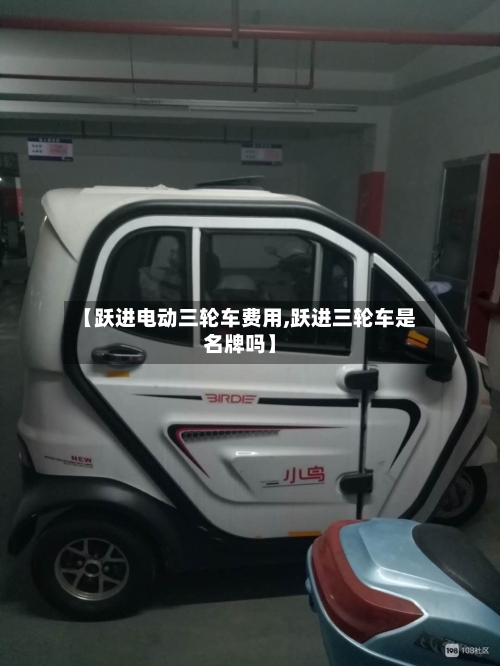 【跃进电动三轮车费用,跃进三轮车是名牌吗】-第3张图片