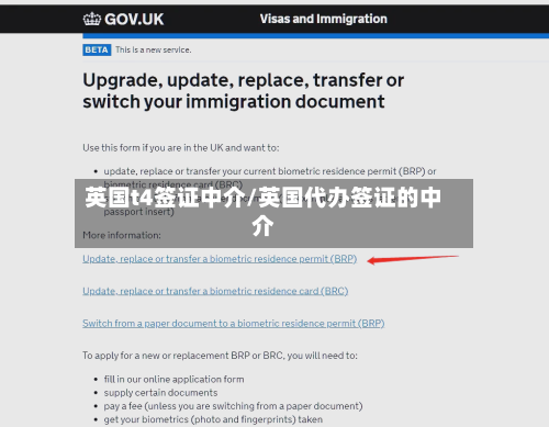 英国t4签证中介/英国代办签证的中介