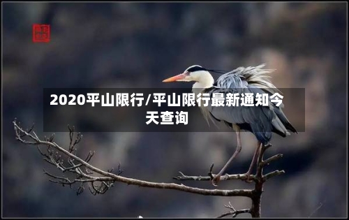 2020平山限行/平山限行最新通知今天查询