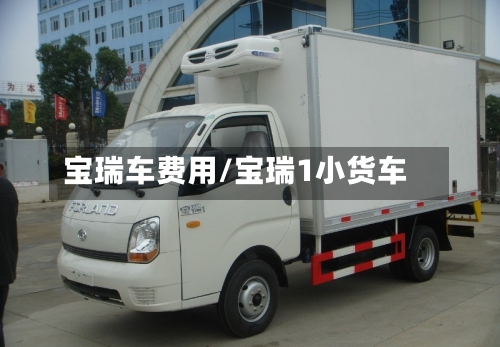 宝瑞车费用/宝瑞1小货车
