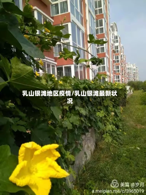 乳山银滩地区疫情/乳山银滩最新状况-第3张图片