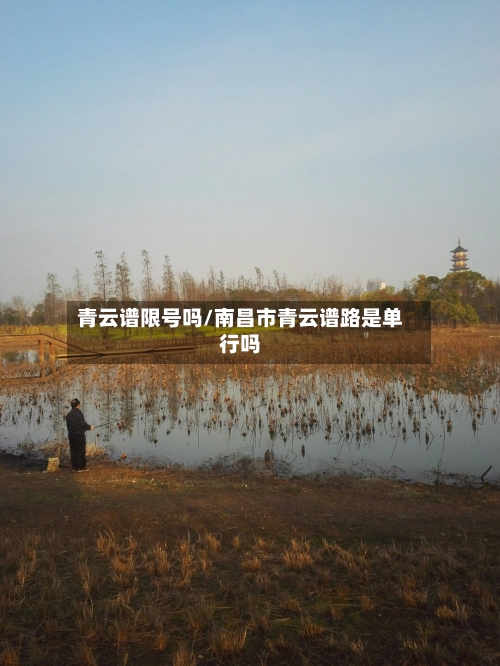 青云谱限号吗/南昌市青云谱路是单行吗