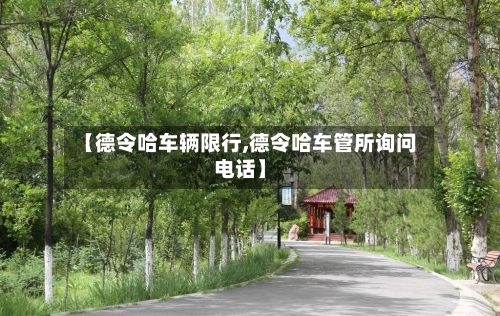 【德令哈车辆限行,德令哈车管所询问电话】-第2张图片