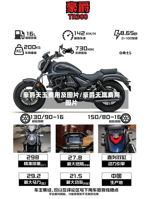 豪爵天玉费用及图片/豪爵天鹰费用图片-第2张图片