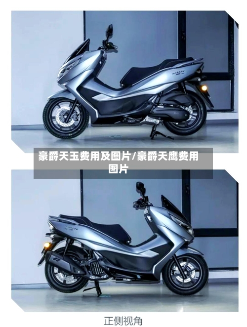豪爵天玉费用及图片/豪爵天鹰费用图片-第3张图片