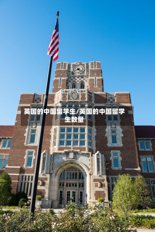 英国的中国留学生/英国的中国留学生数量-第2张图片