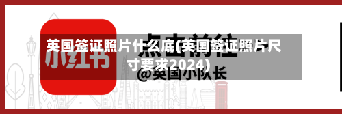 英国签证照片什么底(英国签证照片尺寸要求2024)-第3张图片