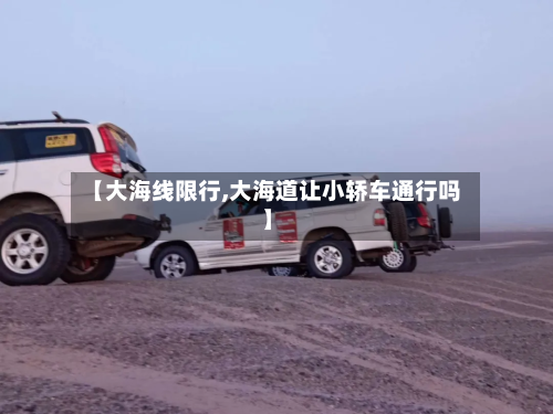 【大海线限行,大海道让小轿车通行吗】
