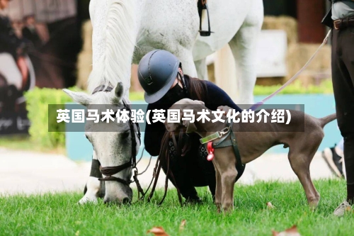 英国马术体验(英国马术文化的介绍)-第2张图片