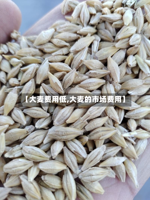 【大麦费用低,大麦的市场费用】