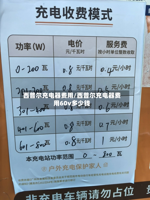 西普尔充电器费用/西普尔充电器费用60v多少钱