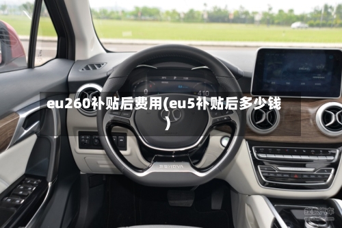 eu260补贴后费用(eu5补贴后多少钱)-第3张图片