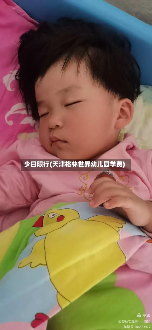 少日限行(天津格林世界幼儿园学费)