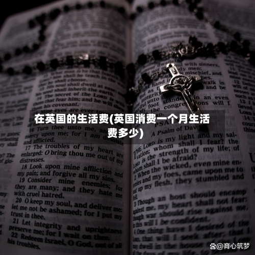 在英国的生活费(英国消费一个月生活费多少)-第2张图片