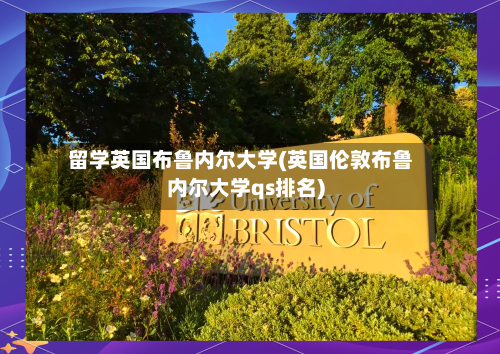 留学英国布鲁内尔大学(英国伦敦布鲁内尔大学qs排名)-第3张图片
