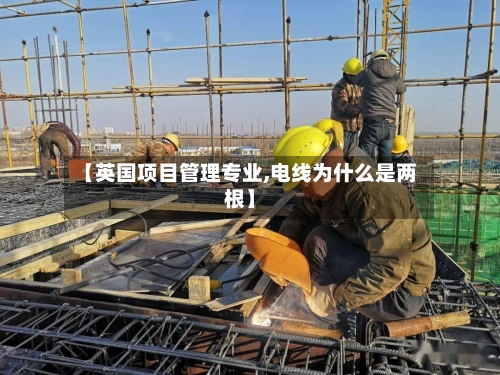 【英国项目管理专业,电线为什么是两根】