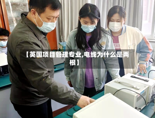 【英国项目管理专业,电线为什么是两根】-第2张图片