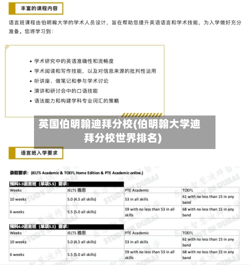 英国伯明翰迪拜分校(伯明翰大学迪拜分校世界排名)