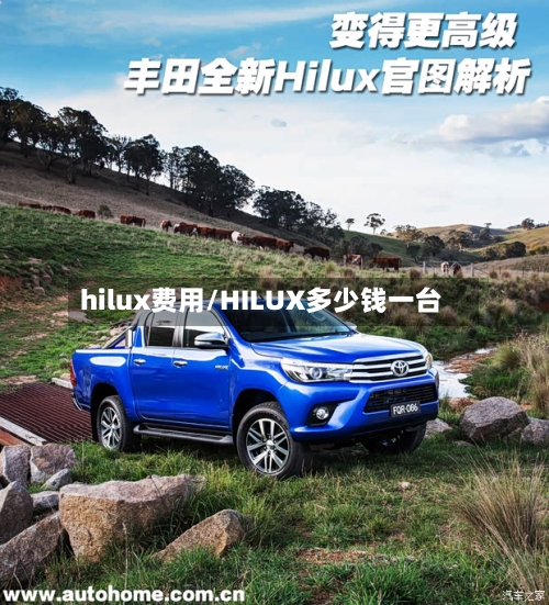 hilux费用/HILUX多少钱一台