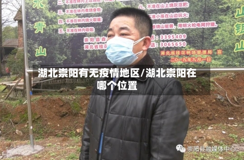 湖北崇阳有无疫情地区/湖北崇阳在哪个位置-第2张图片