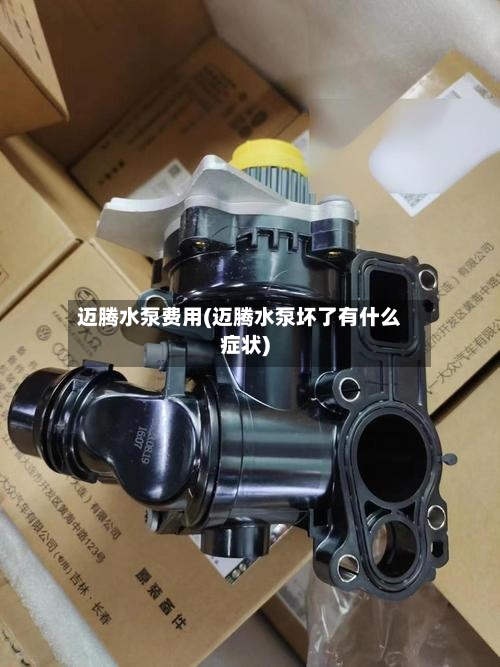 迈腾水泵费用(迈腾水泵坏了有什么症状)