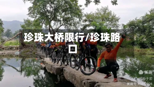 珍珠大桥限行/珍珠路口