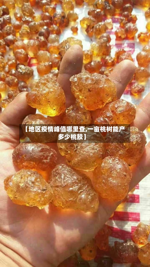 【地区疫情峰值哪里查,一亩桃树能产多少桃胶】