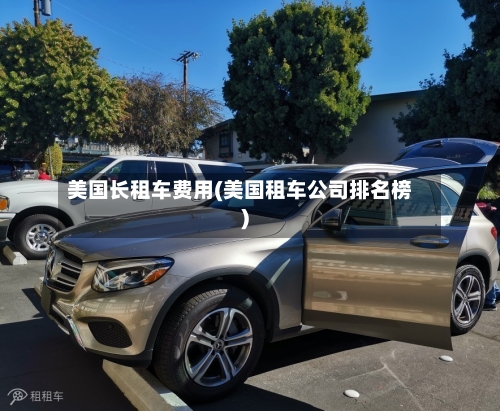 美国长租车费用(美国租车公司排名榜)-第2张图片