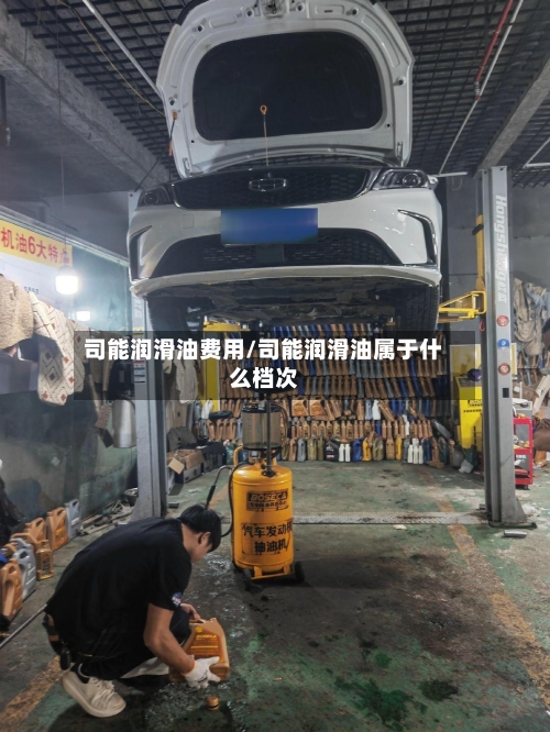 司能润滑油费用/司能润滑油属于什么档次-第3张图片