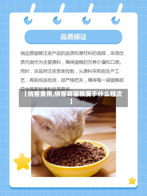 【俏客费用,俏客萌猫粮属于什么档次】-第3张图片