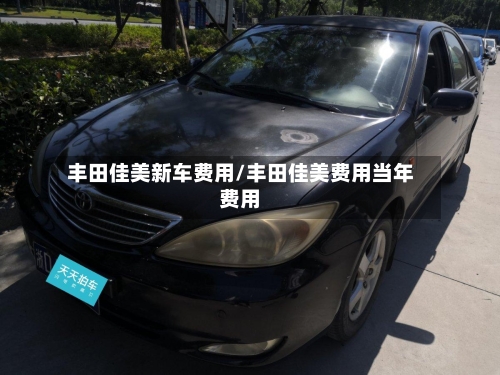 丰田佳美新车费用/丰田佳美费用当年费用