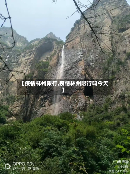 【疫情林州限行,疫情林州限行吗今天】-第2张图片