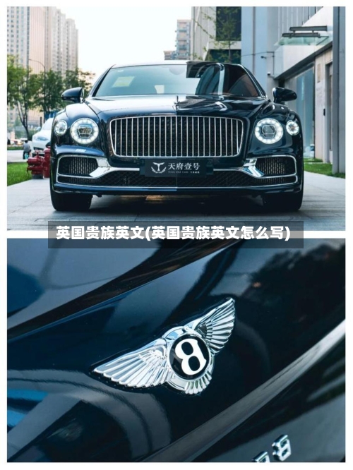 英国贵族英文(英国贵族英文怎么写)-第2张图片