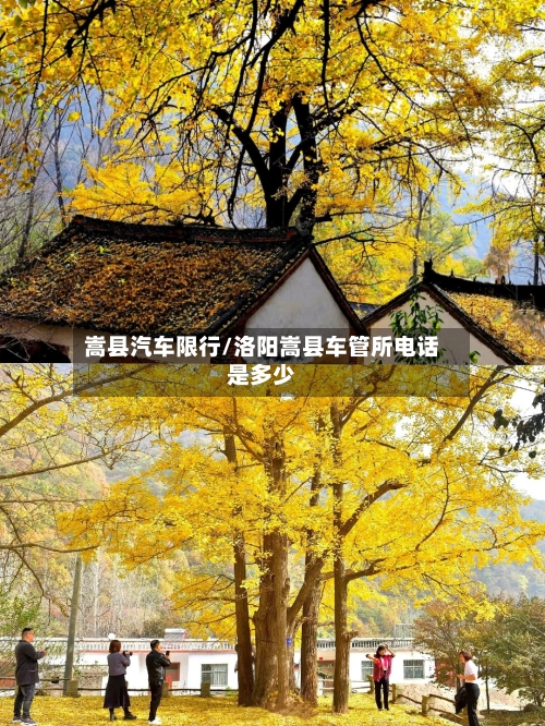 嵩县汽车限行/洛阳嵩县车管所电话是多少