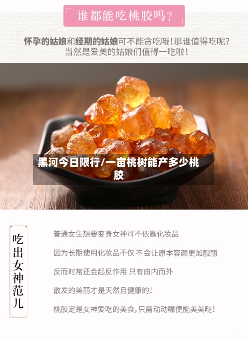黑河今日限行/一亩桃树能产多少桃胶-第2张图片