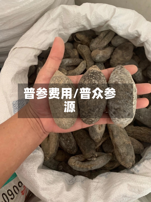 普参费用/普众参源-第2张图片
